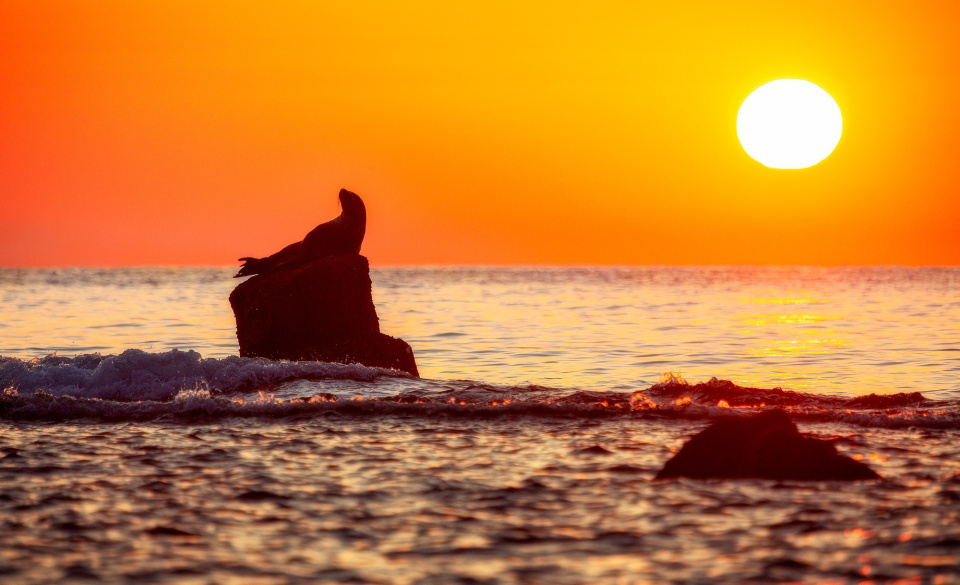 Сихотэ-Алинь