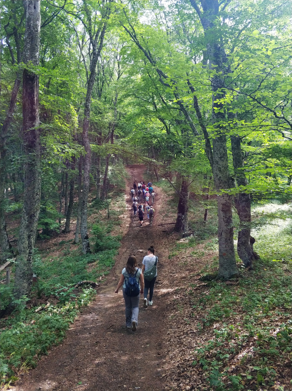 Фото: Никифорова Александра