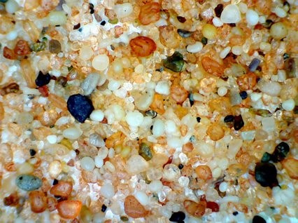 Барханы, ОАЭ, Красная пустыня (фото Б.В. Талпа)