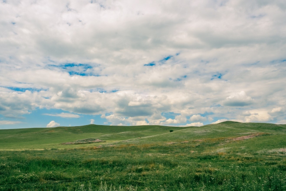 Ислам Шогенов