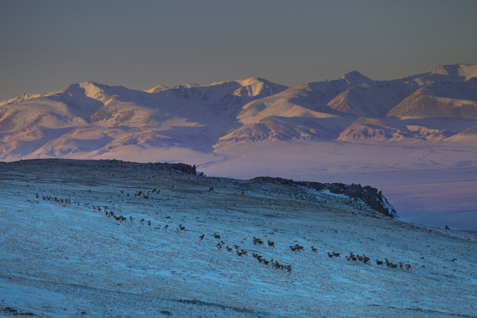 Сайлюгемский национальный парк