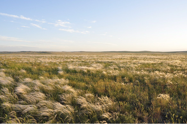 Ангелина Войченко