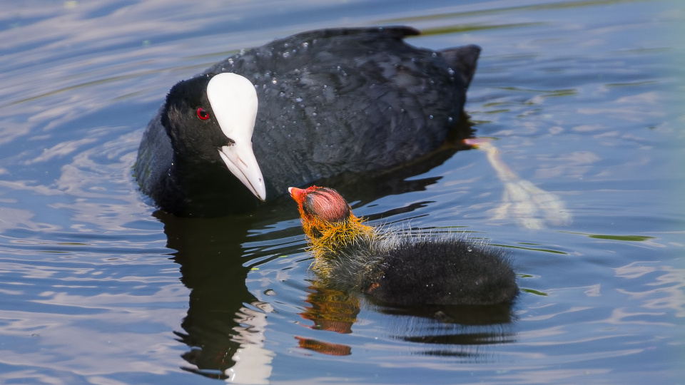 Андрей Кудрявцев, участник фотоконкурса РГО "Самая красивая страна"