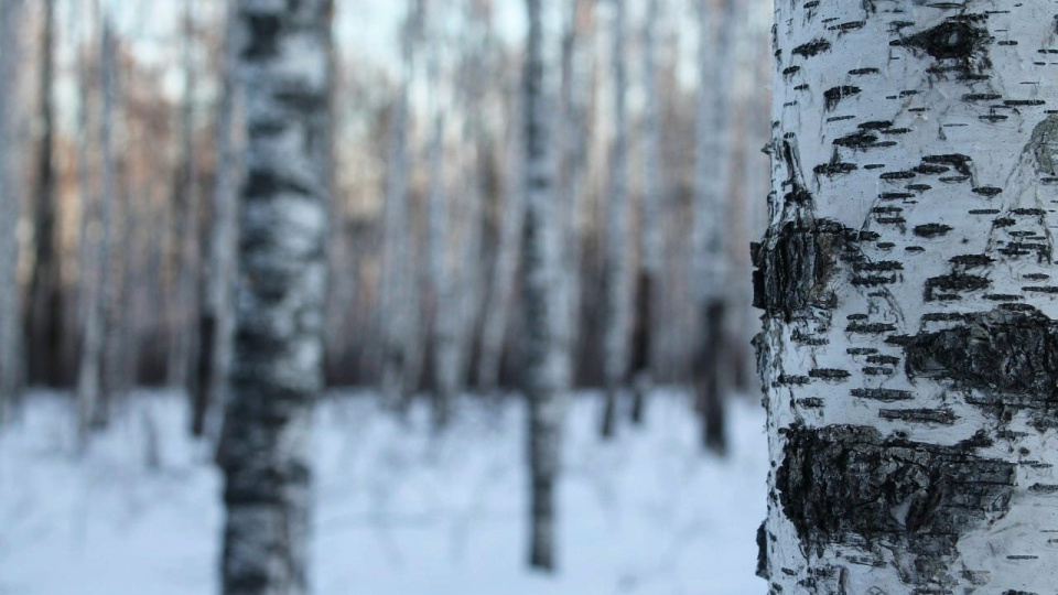 Инна Бочарова, участница фотоконкурса РГО "Самая красивая страна"