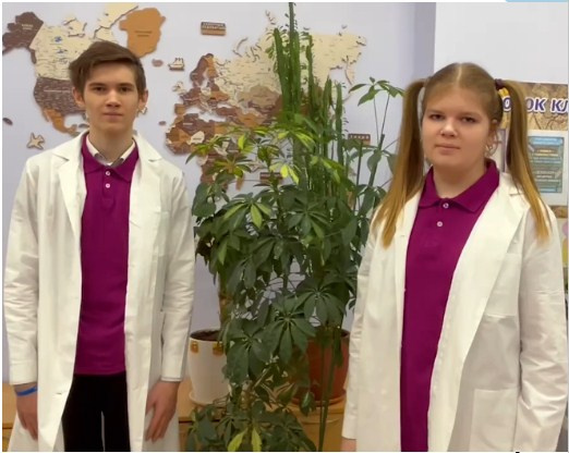 Молодежный клуб РГО "КПД или команда полезного действия"