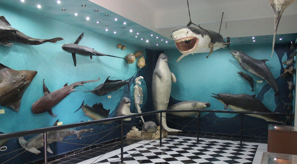 Музей Хамеда Гохара