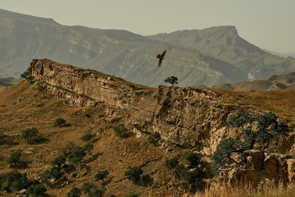 Михаил Токмаков