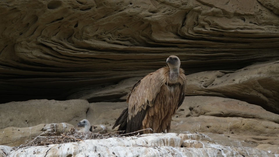 Виктор Конев, участник фотоконкурса РГО "Самая красивая страна"
