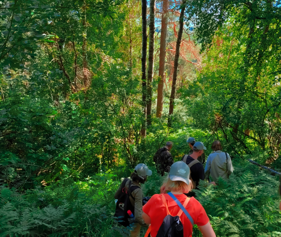 Эковолонтерская школа "Заповедный Алтай" в Алтайском заповеднике