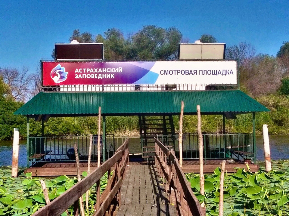 Смотровая площадка Астраханского заповедника