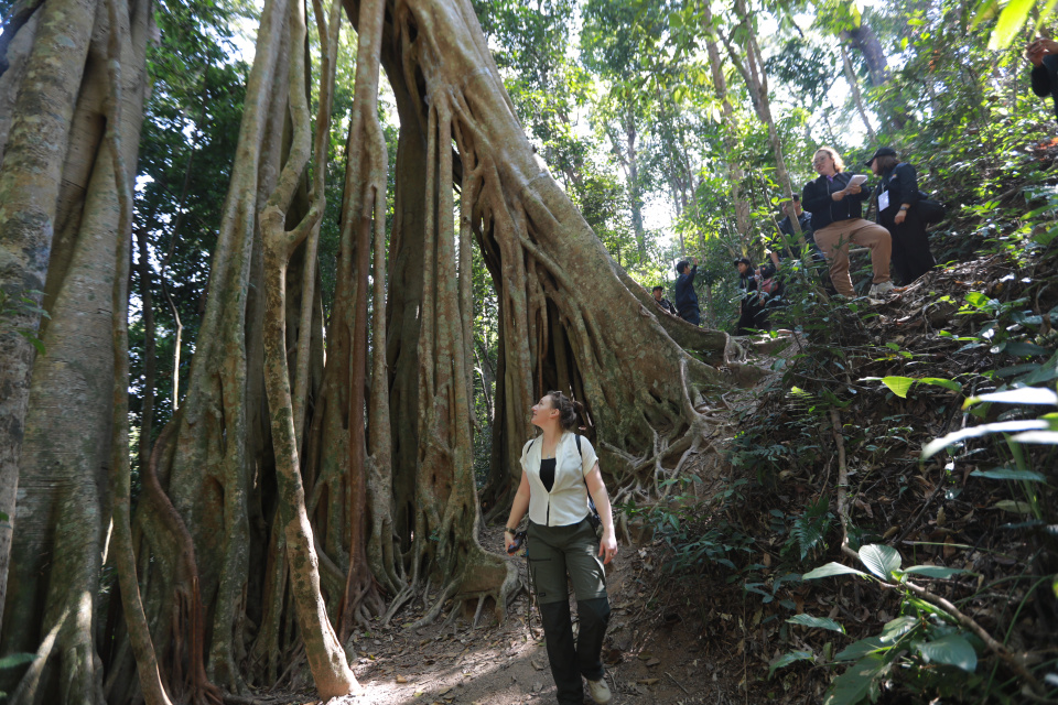 Предоставлено организаторами 