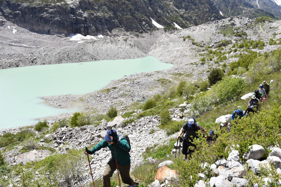 Природа БЕЗопасности