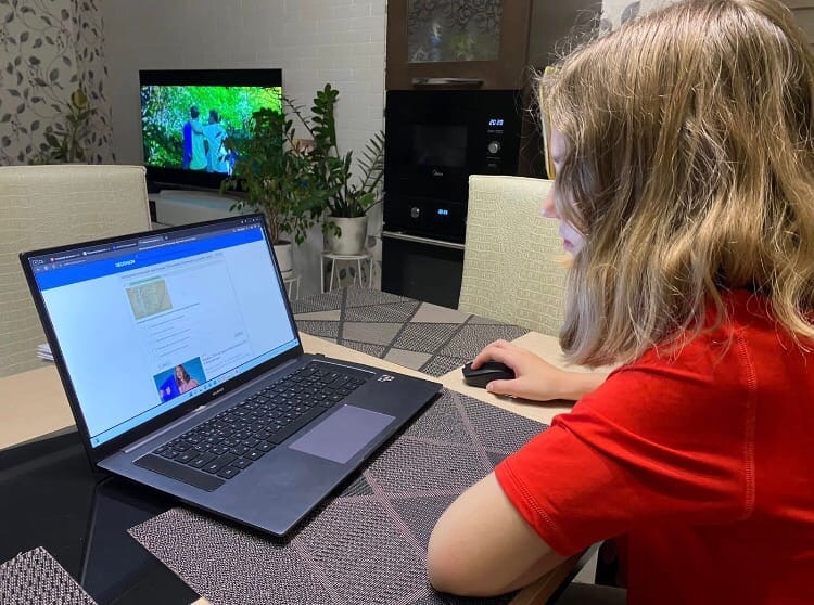 Викторина "Владимир Арсеньев"