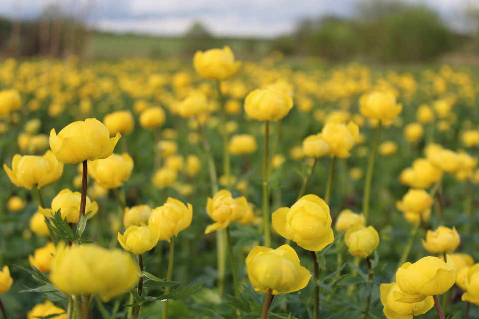 Валерий Савин