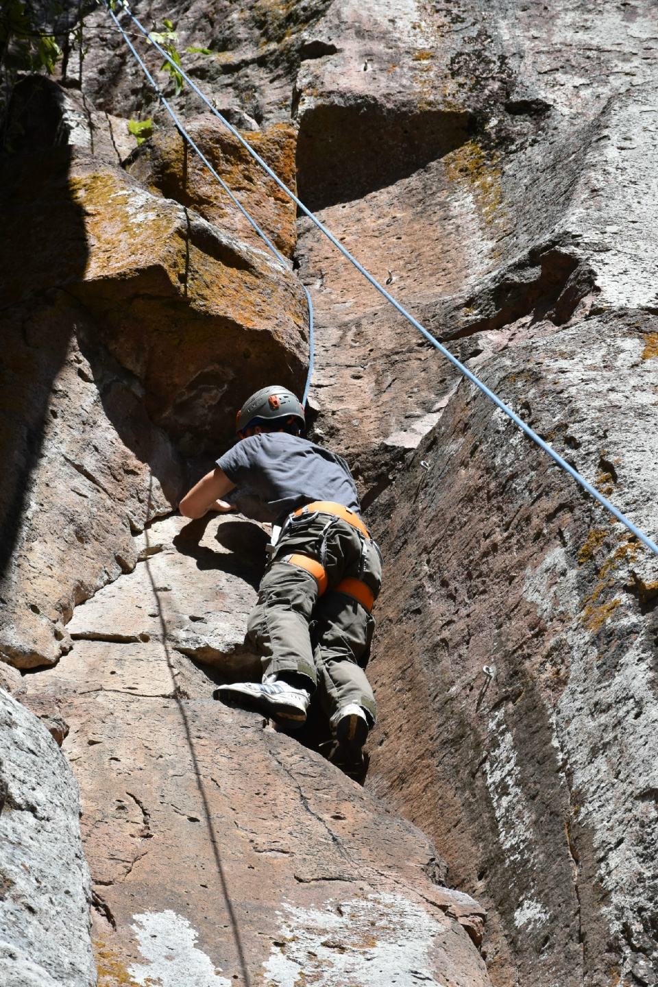 Школа туризма и краеведения