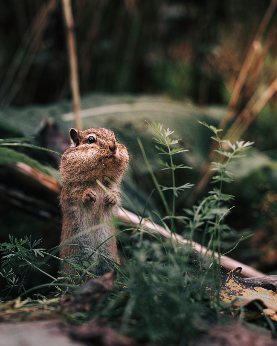 Встретимся у «Столбов»