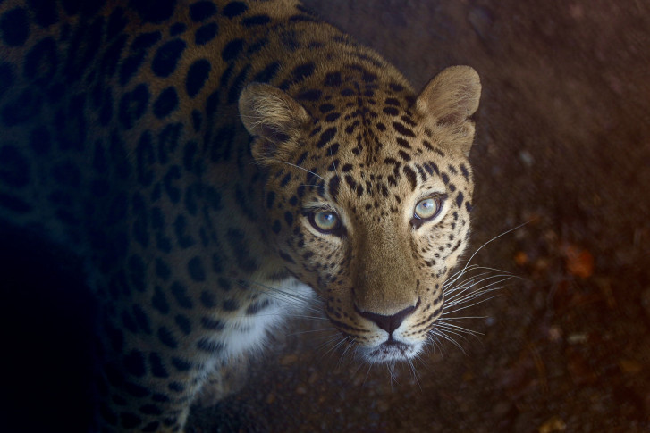 Дмитрий Марченко, участник фотоконкурса РГО "Самая красивая страна"
