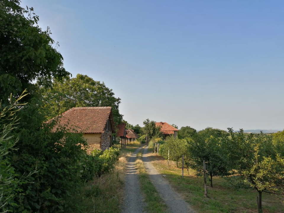 Стажировка в Сербии