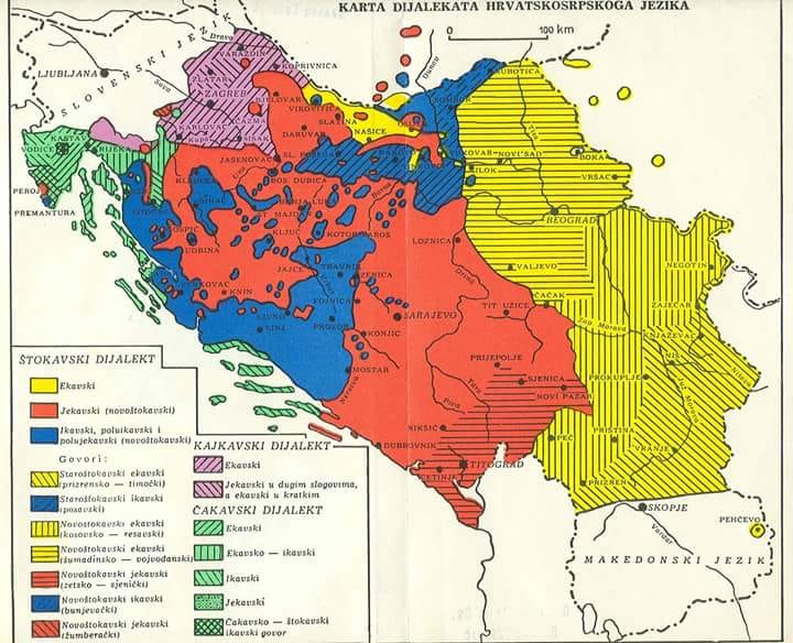 Стажировка в Сербии