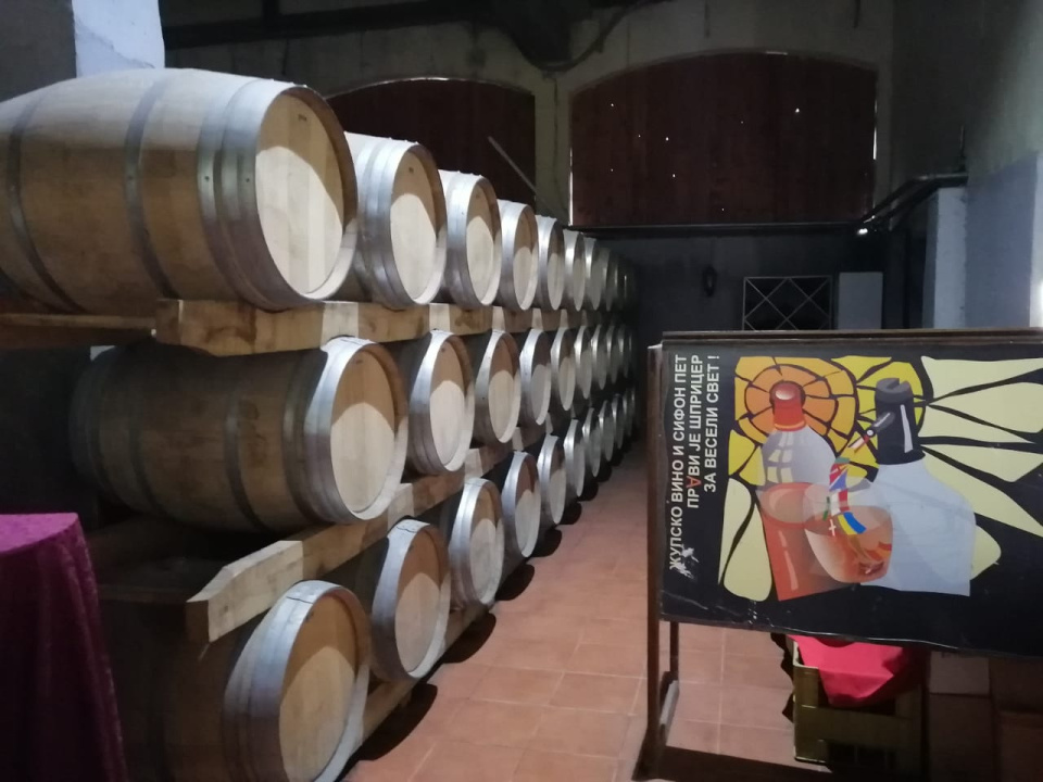 Стажировка в Сербии