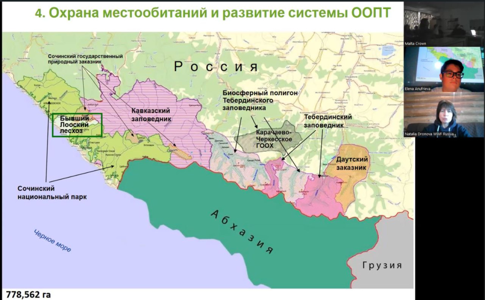 Онлайн-встреча с Дроновой Н.А.