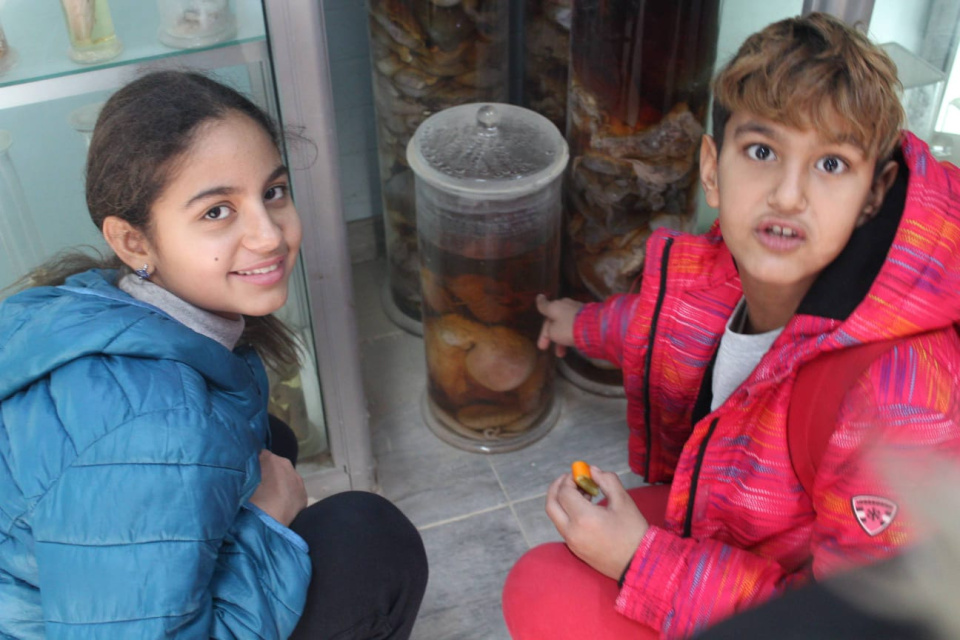 Музей Хамеда Гохара