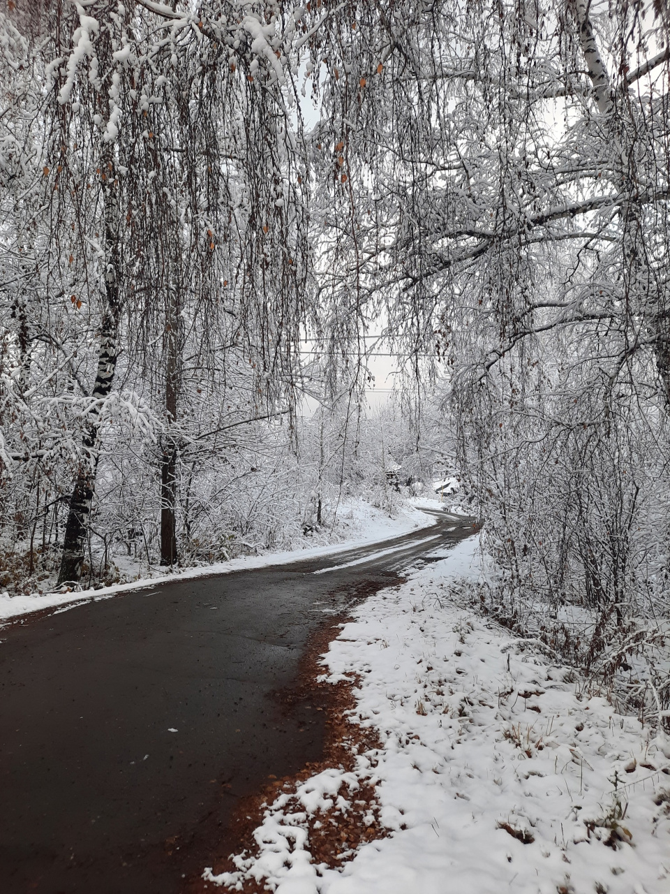 Первый снег