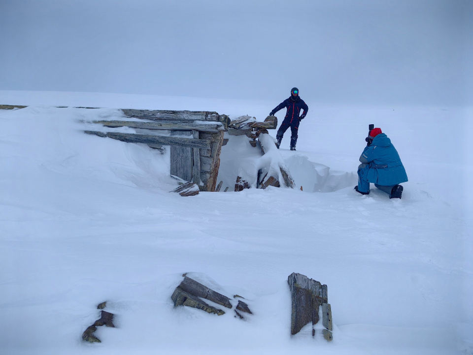 Алина Кочергина