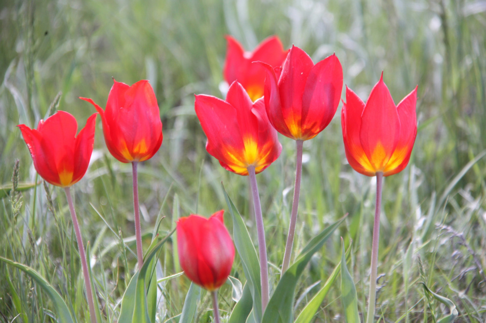 Предоставлено Молодежным клубом РГО г. Волгодонска Предоставлено Молодежным клубом РГО г. Волгодонска