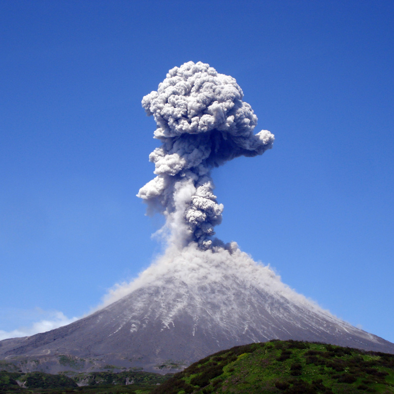 Победитель номинации "Ландшафтное разнообразие"